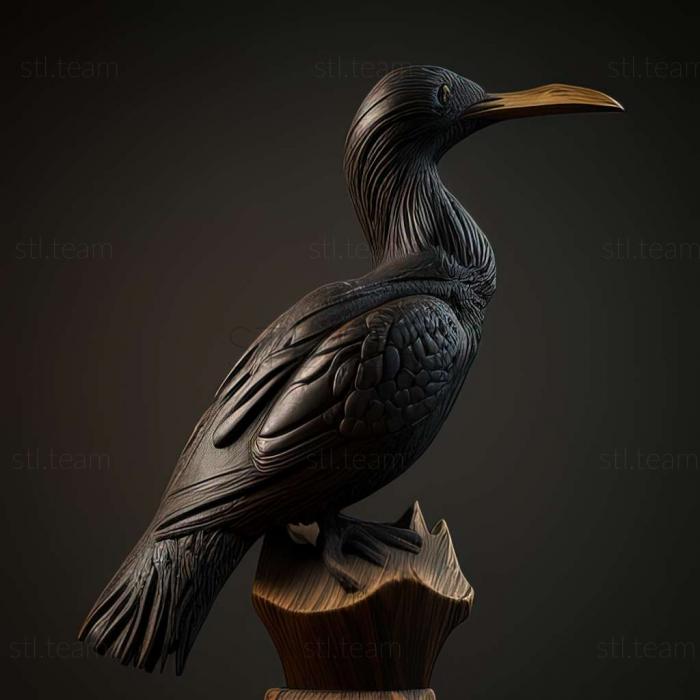 Animals cormorant